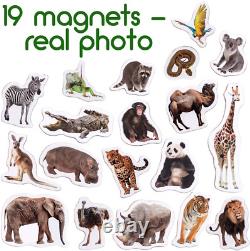 MAGDUM Zoo Photo Fridge Magnets for Toddlers Animal LARGE Large