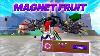 New Magnet Fruit Showcase High Damage King Legacy Update 4 5
