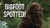 Shocking Bigfoot Sighting Evidence Bigfoot Encounters Full Hd Documentary Central